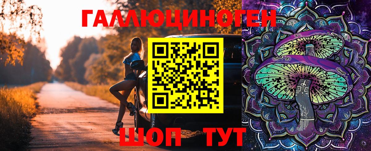 Галлюциногенные грибы мухоморы Миллерово